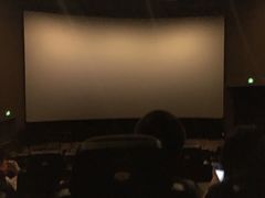 -上影国际影城(成都银泰LUXE店)