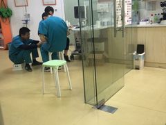 -创凡宠物医院·骨专科  猫科中心(西乡分院)