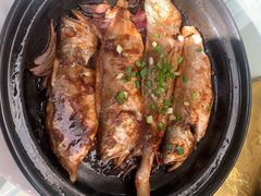 -食家鸽园