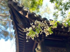 -北寺塔