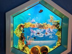 -海合安武汉极地海洋公园