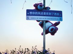 -烛影拾光观景餐厅·创意菜·摄影·小提琴(大唐不夜城店)