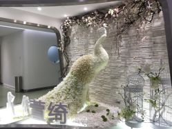 -依萱绮医疗美容