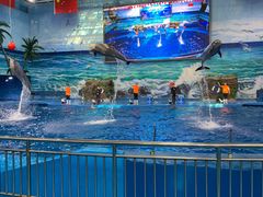 -多彩贵州城极地海洋世界