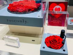 -ROSEONLY诺誓(青岛万象城店)