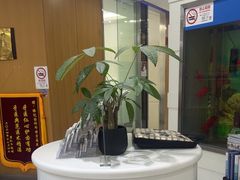 -雅悦齿科(顾村公园店)