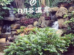 -厦门日月谷温泉渡假村