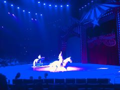 -珠海横琴长隆《卡卡虎奇遇记》