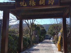 -悦禧耕岛酒店·指月坞餐厅·旺山特色农家乐