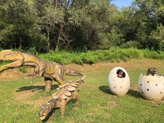 -北京张裕爱斐堡酒庄