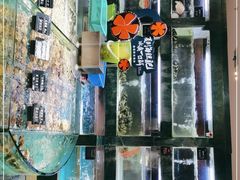 -徐记海鲜(阿波罗店)