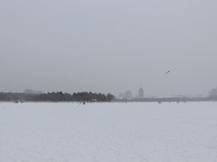 -长春市南湖公园