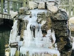 -北京市海淀外国语实验学校