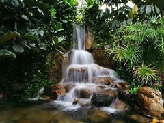 -厦门日月谷温泉渡假村