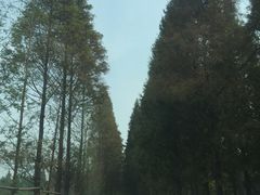 -高淳老街