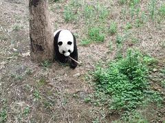 -宁波野生动物园
