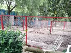 -宠物寄养训练学校