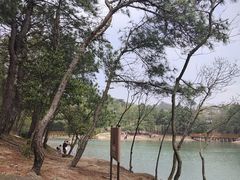 -南京市无想山景区