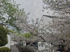 -鸣鹤古镇