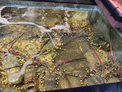 -海九澎湖海鲜餐厅