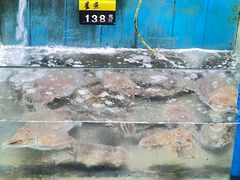 -蓝湾碧波·老字号·疍家非遗海上餐厅