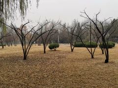 -达活泉公园