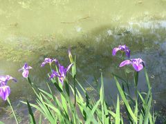 -幕燕滨江·长江观音景区
