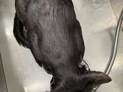 -宠颐生中康贝怡动物医院