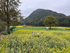 -广州市石门国家森林公园