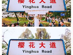 -武汉大学-樱园
