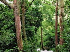 -小南山公园