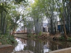 -林丰温泉度假山庄