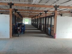 -北京群众马术培训基地