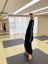 -酉嘉瑜伽YO+YOGA