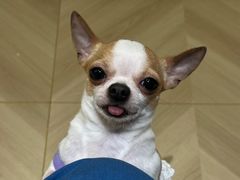 -观音桥步行街