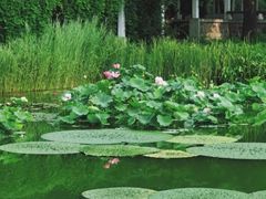 -国家植物园南园