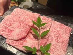 -然锅料理