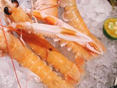 -極上萬膳·日料放题(海岸城店)