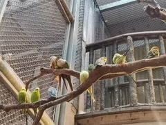 -正佳雨林生态植物园