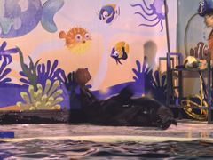 -太平洋海底世界