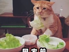 -花味·自助烤肉(雨花客厅店)