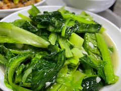 -胖哥家藏菜(护国路店)