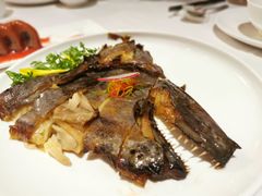 -南麓·浙里(外滩店)