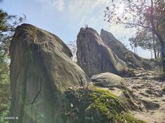 -南山植物园