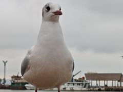 -呈贡滇池生态湿地公园