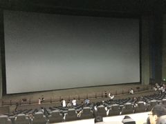 -天幕新彩云国际影城(激光巨幕店)