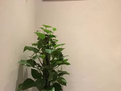 -麦子MaiMassage(打浦桥店)