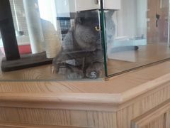 -Me Coffee下午茶艺术空间