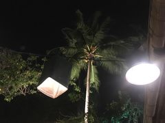 -Naughty Nuri’s Phuket