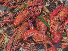 -苏格里岛自助海鲜烤肉(青秀万达店)